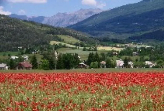 Les Bressanes Apartment *